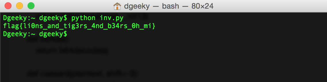getting the flag Alt text